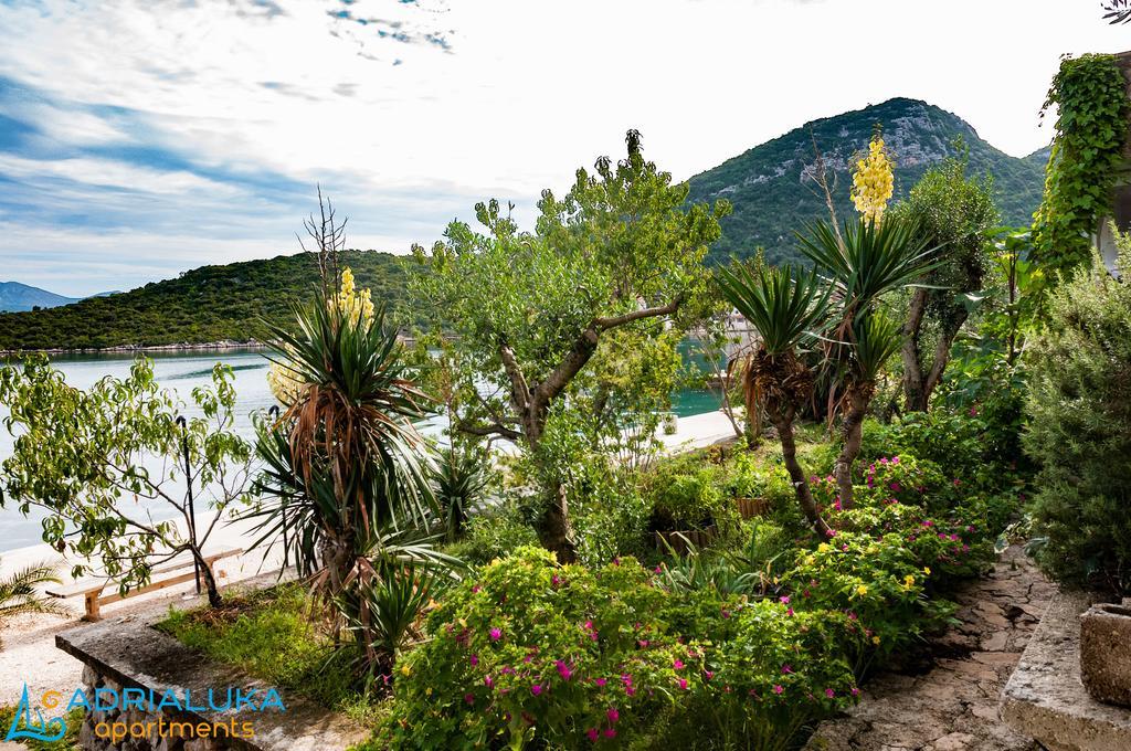 Apartments Adrialuka Dubrava  Buitenkant foto